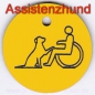 Preview: Handicap